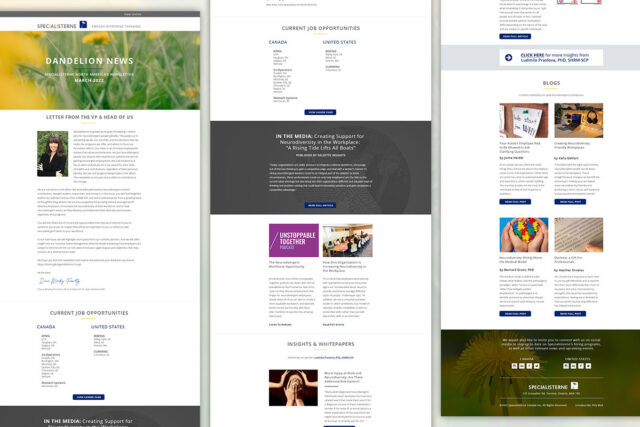 portfolio