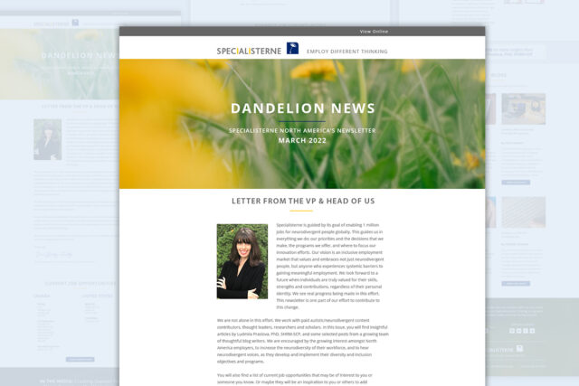 portfolio